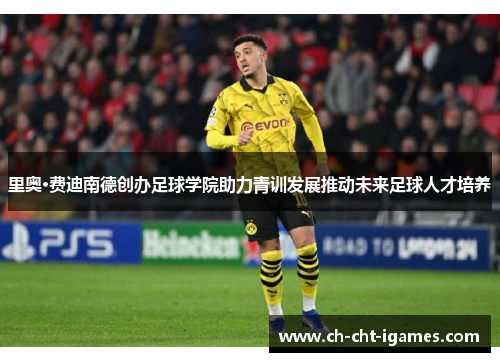 里奥·费迪南德创办足球学院助力青训发展推动未来足球人才培养