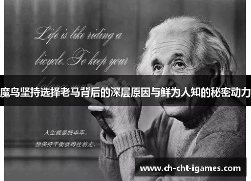 魔鸟坚持选择老马背后的深层原因与鲜为人知的秘密动力