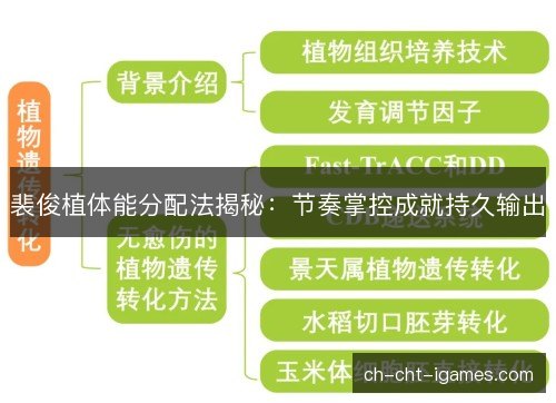 裴俊植体能分配法揭秘：节奏掌控成就持久输出